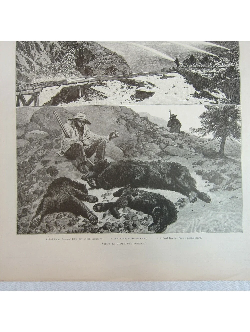 Antique 1888 Print 